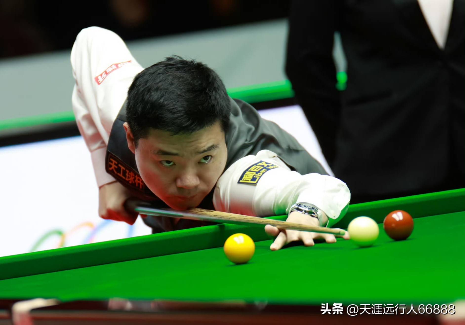 可以让游泳 可以让游泳