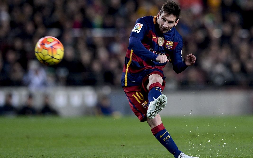 不仅证明了 不仅证明了